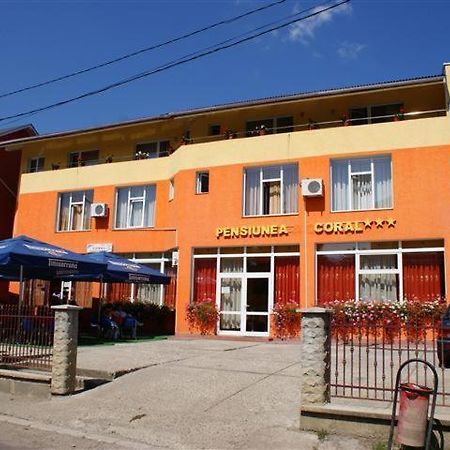 Pension Coral Baia Mare Dış mekan fotoğraf