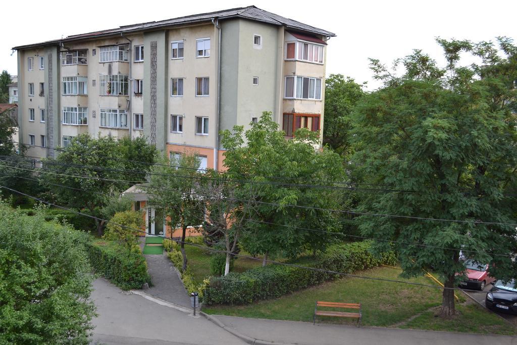 Pension Coral Baia Mare Dış mekan fotoğraf