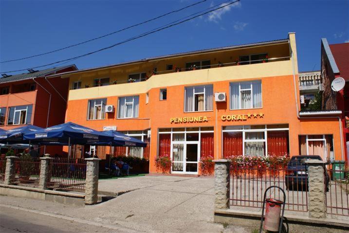 Pension Coral Baia Mare Dış mekan fotoğraf